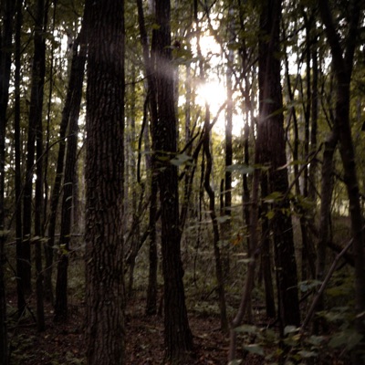 Every Weather (feat. Yung Kirk) - Single