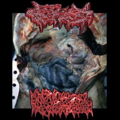 Fleabag x Macrovaginal Afterbirth - EP