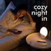 Cécile McLorin Salvant  cozy night in