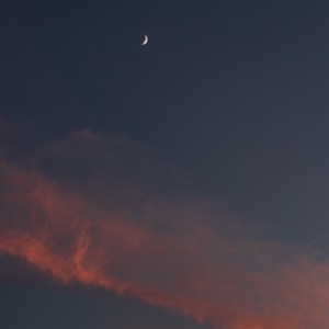 This Warmth Will Reach You - EP