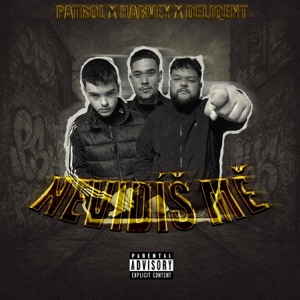 NEVIDÍŠ MĚ (feat. DELIQENT HF)