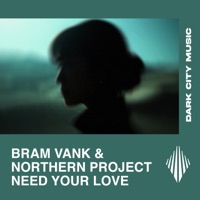 Need Your Love - Single - Bram Vank & Northern Project