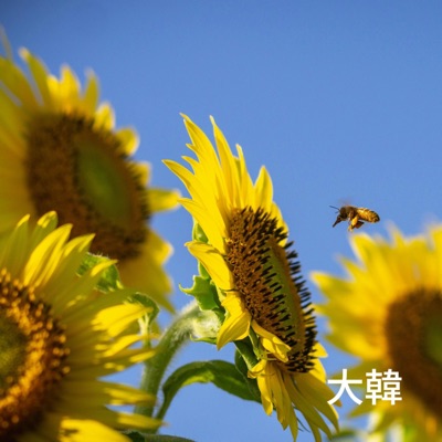 Spend Time With You - Single