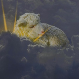 sometimes Tochi Bedford