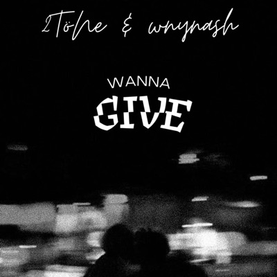 Wanna Give (feat. 2tone) - Single