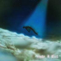 HOW I FEEL (feat. Shiny) - Single - Franfi