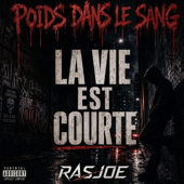 La vie est courte