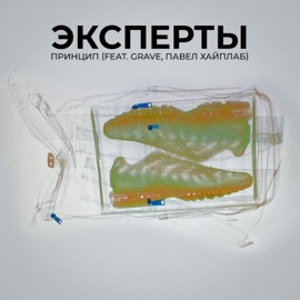 Эксперты (feat. Grave & Павел Хайплаб) Princip