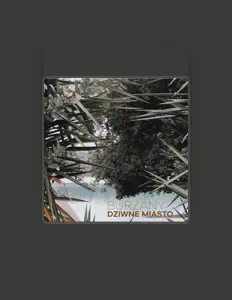 聆聽 Burzany、觀看音樂影片、閱讀小傳、查看巡演日期等！