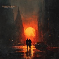 THE NIGHT WE MET (Special Version) - Single - Benjamz