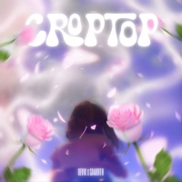 Crop Top - Single - De-Vik & Samxrth