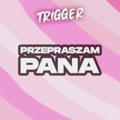 Przepraszam Pana artwork