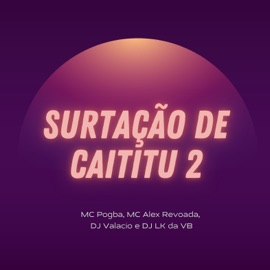 Surtação da Caititu 2 (feat. MC Alex Revoada) MC Pogba, DJ Valacio & Dj lk da VB