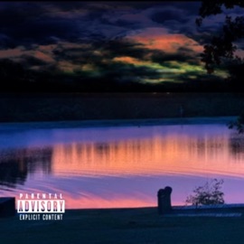 Manic Episode (feat. Cosmiic) Xavy