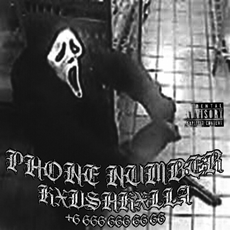 Phone Number (+6-666-666-66-66) - KXVSHKXLLA: Song Lyrics, Music Videos ...