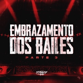 Embrazamento dos Bailes 3.0 DJ Stanley & WL DÚ VS OFC