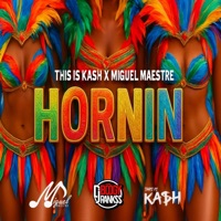 Hornin - Single - This Is Kash & Miguel Maestre