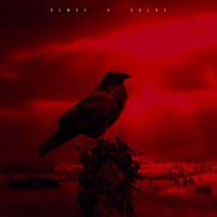 Napoli (feat. Solas) - Single - Demce