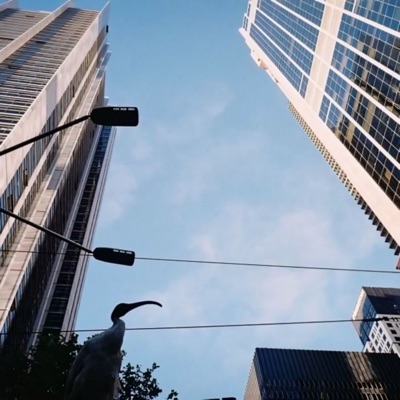 It's Cold Out - Single