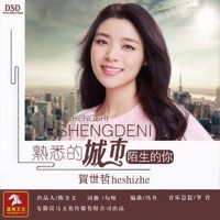 熟悉的城市陌生的你 - Single - 贺世哲