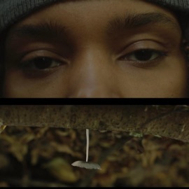 INGRID blankfacebails