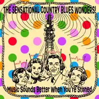 Time Isn't Real — The Sensational Country Blues Wonders!