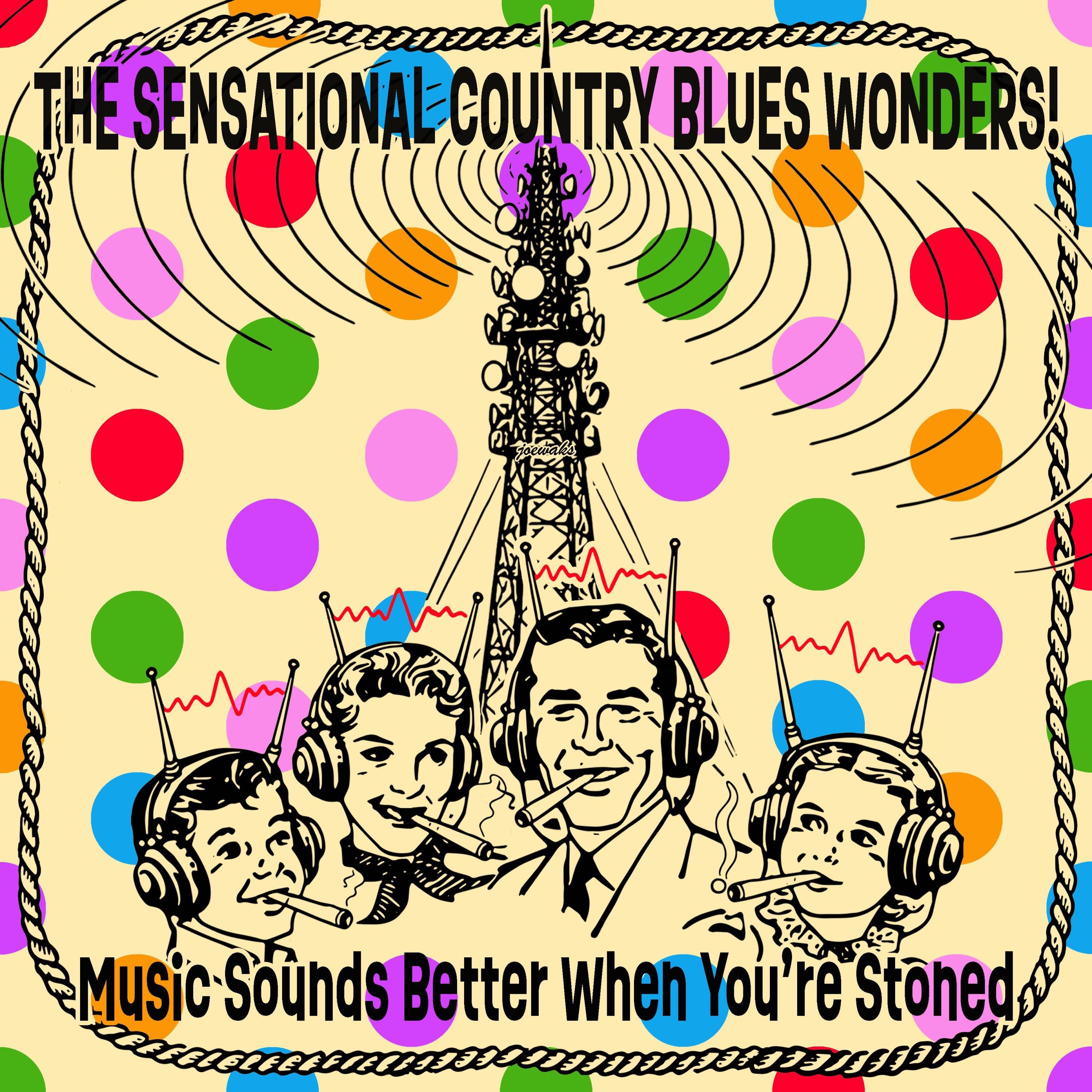 The Sensational Country Blues Wonders! - Come Out and Play