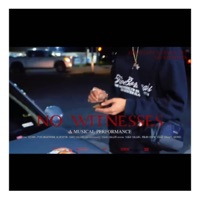 No Witnesses (feat. Pyrobeenfire & Jzonh) - Single - RafaaTyb