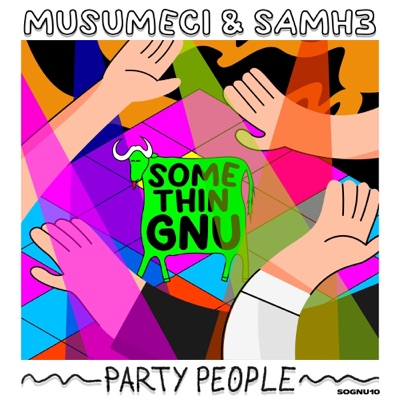 Party People - Single