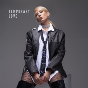 Temporary Love (feat. Jay Wilcox) - Single