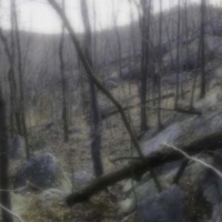 trap (feat. Soldier Artillery & Cyrus) - Single - Artillery