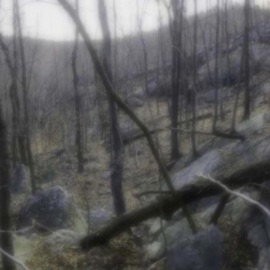 trap (feat. Soldier Artillery & Cyrus) Artillery