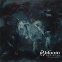 Chronos Derailed (feat. Archaeologist) - Single - Bhloom