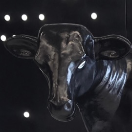 i'm trying, i promise concretecow