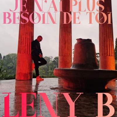 Je n'ai plus besoin de toi - Single