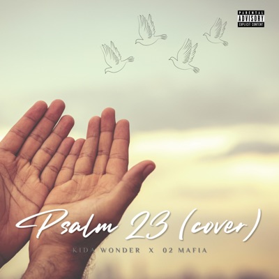 Psalm 23 (feat. Kida Wonder) - Single