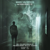 Modern Poetry (Avation Remix) - Single - Mark Valsecchi & M.O.O.D