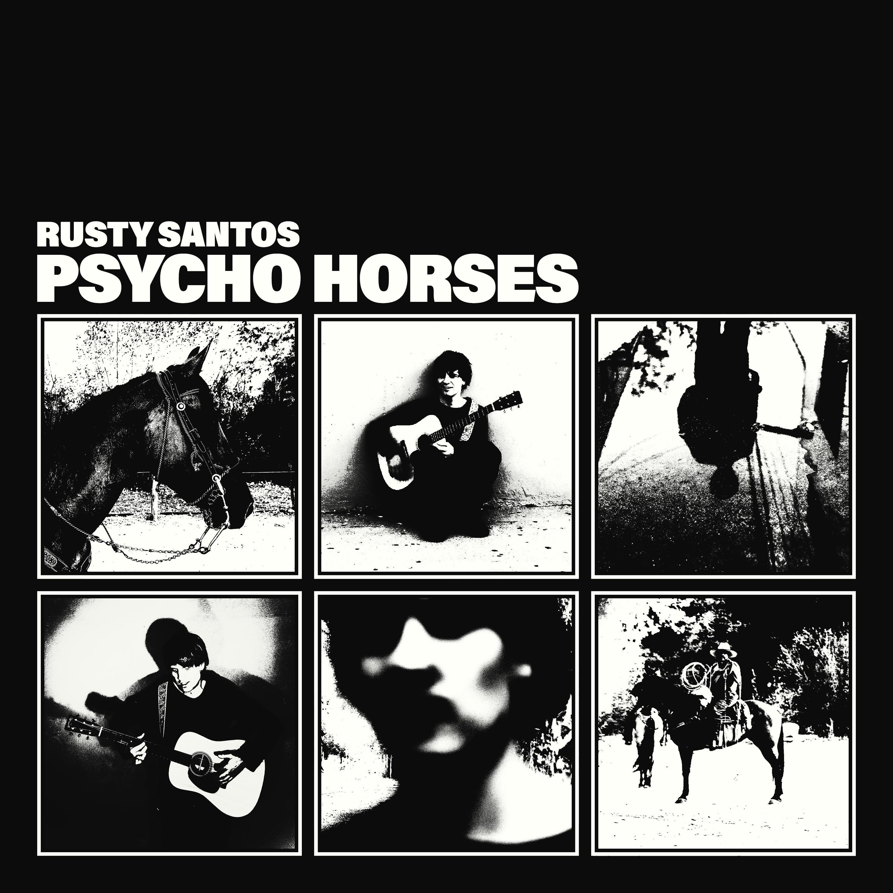 Psycho Horses