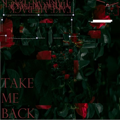 Take me back - Single