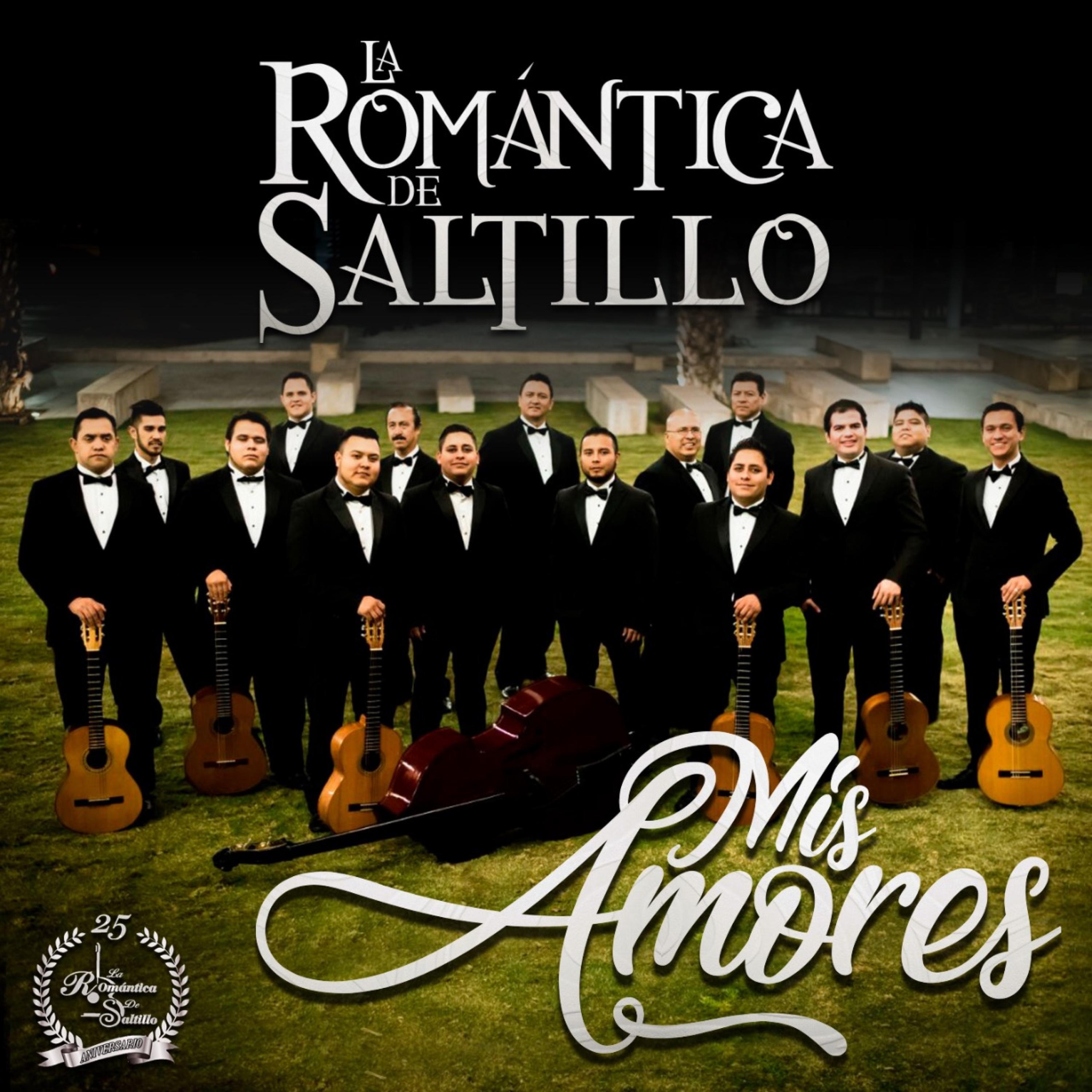 MIS AMORES - Single