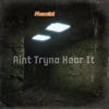 Aint Tryna Hear It - Single