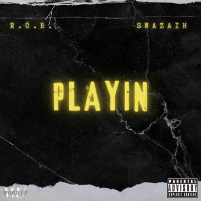 Playin (feat. Swazaih) - Single