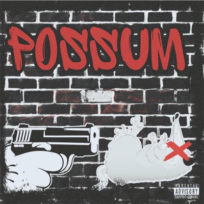 POSSUM - Single
