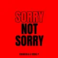 Sorry Not Sorry