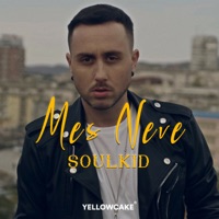 MES NEVE - Single - Soulkid