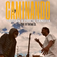 Caminando Tristan x Prieto Candela (feat. Yin Yang Co.) - Single - Rufas