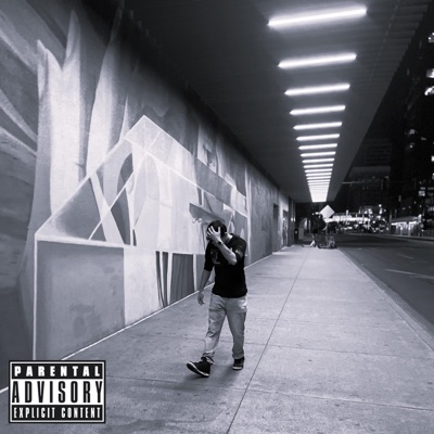 FR1ED (feat. Luh Fat) [REMIX] - Single