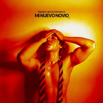 Mi Nuevo Novio - Single