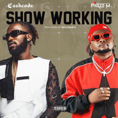 Show working (feat. Figo M) - Single