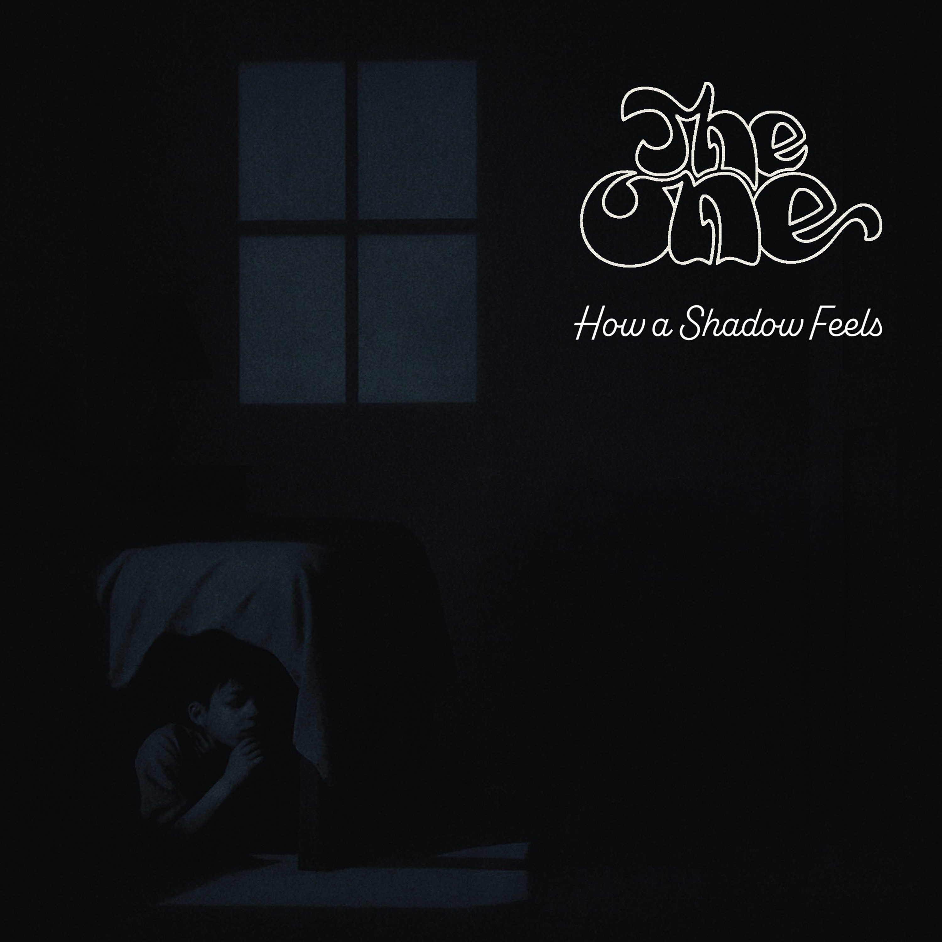 How A Shadow Feels - Single